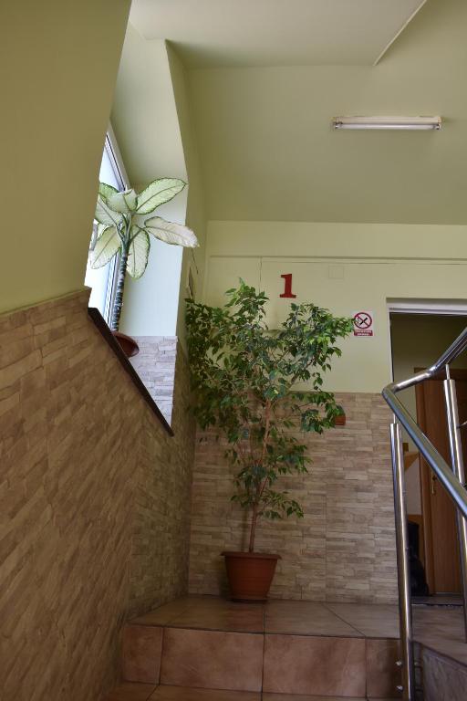 Hotel Zimbru - Resim 33