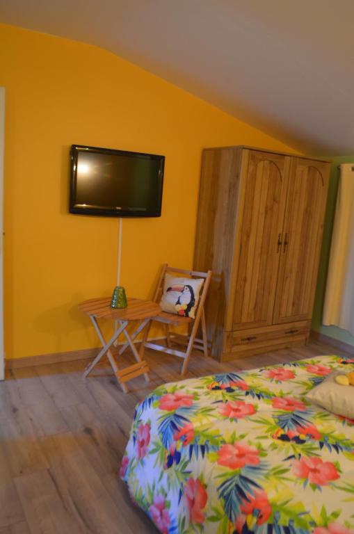 TV a/nebo společenská místnost v ubytování L'Amandier