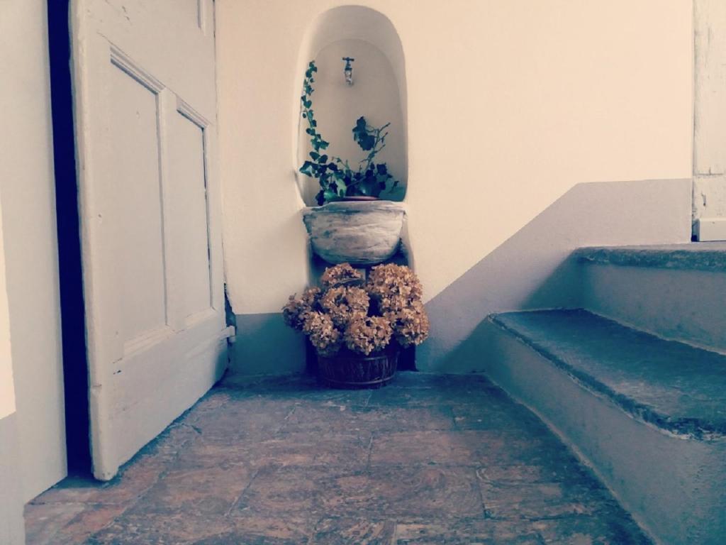 Le Quinte del Duomo - 13