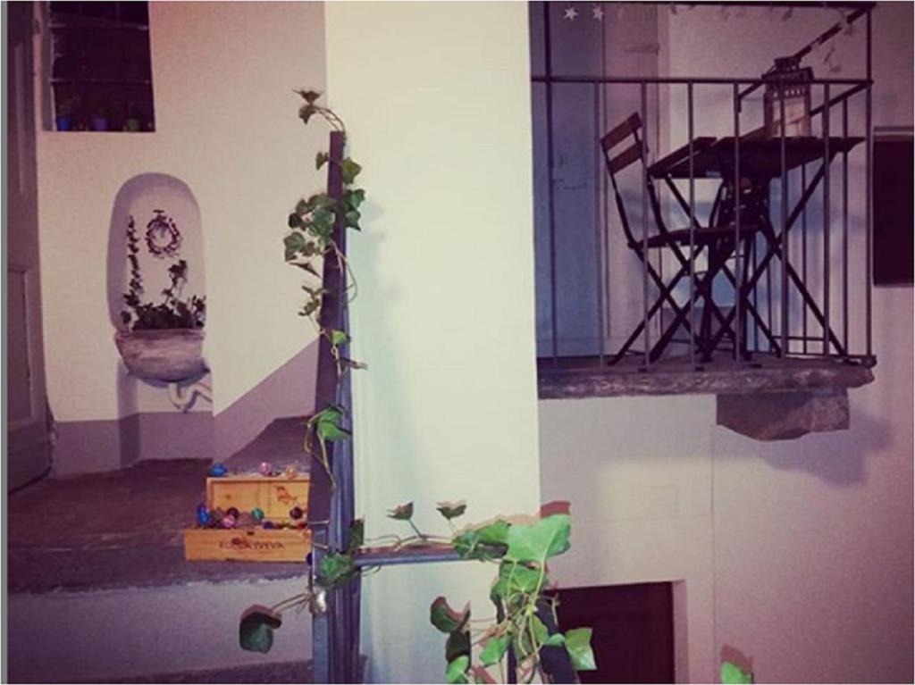 Le Quinte del Duomo - 14