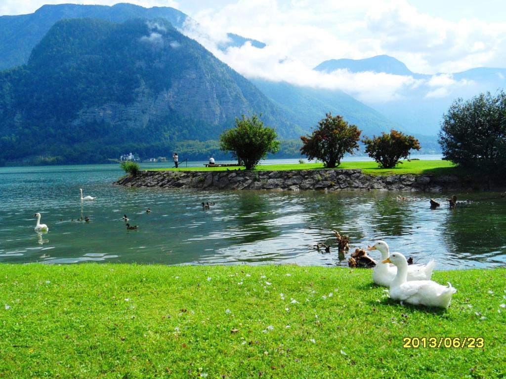 Apartment Silvia - 15