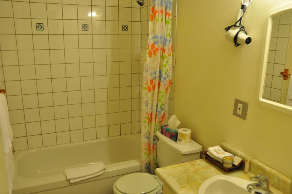 a bathroom with a toilet and a tub and a sink at Le Boisé du Lac in Mont-Tremblant