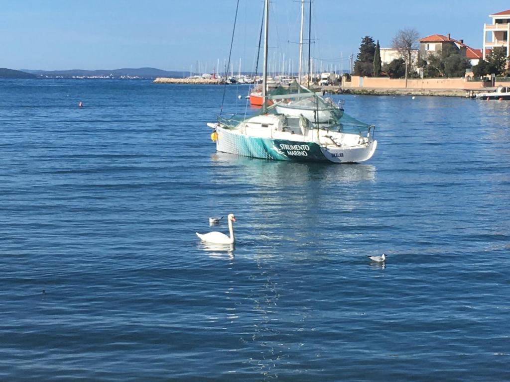 Croatian Home Apartments - 9