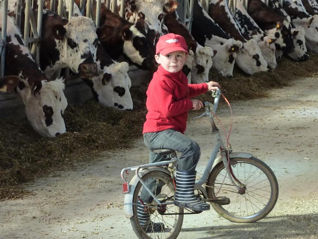 Hosté ubytování Gite de la Huberderie