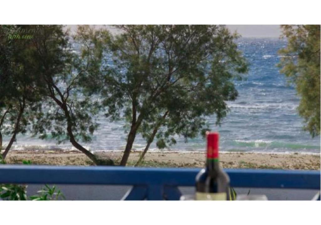 eine Flasche Wein auf einem Tisch neben dem Meer in der Unterkunft Apartments With View in Adamas