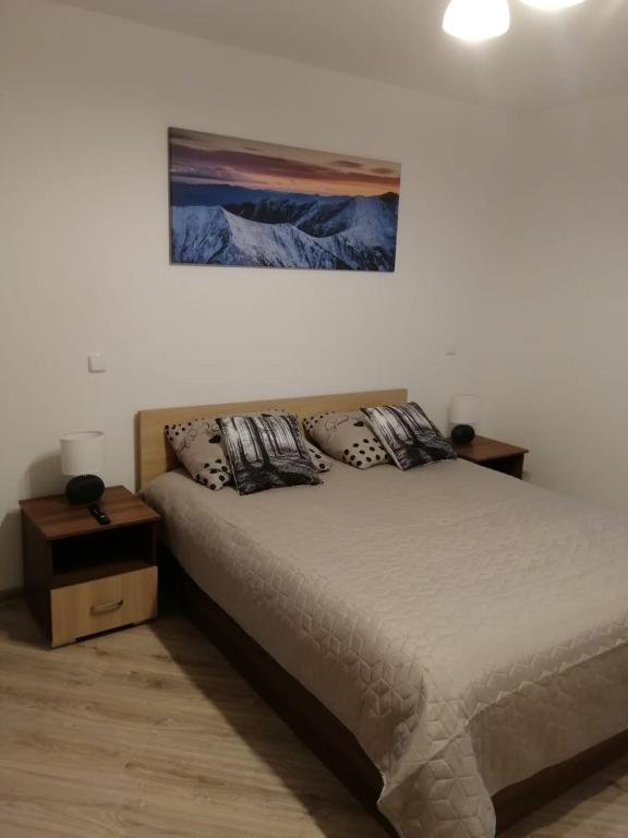 a bedroom with a bed and a picture on the wall at Apartament Klimek in Białka Tatrzańska