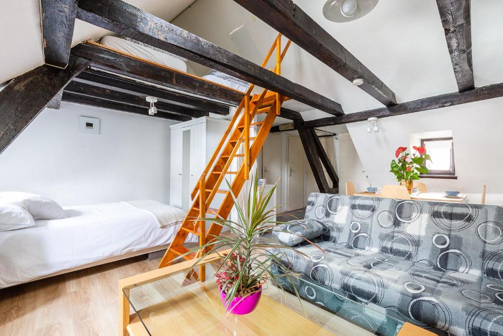 a loft with a bed and a ladder in a room at Appartements Paola, Pamela, Patricia et Pascale in Strasbourg