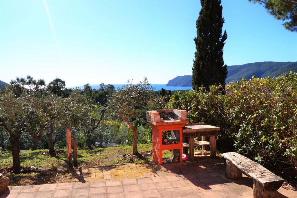 a wooden chair and a bench in a park at Il Poggio Marcuccio in Lacona