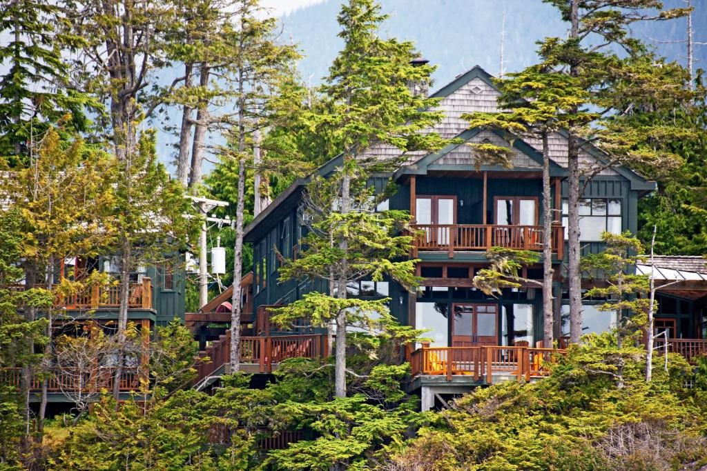 une maison sur une colline avec des arbres dans l'établissement Middle Beach Lodge, à Tofino