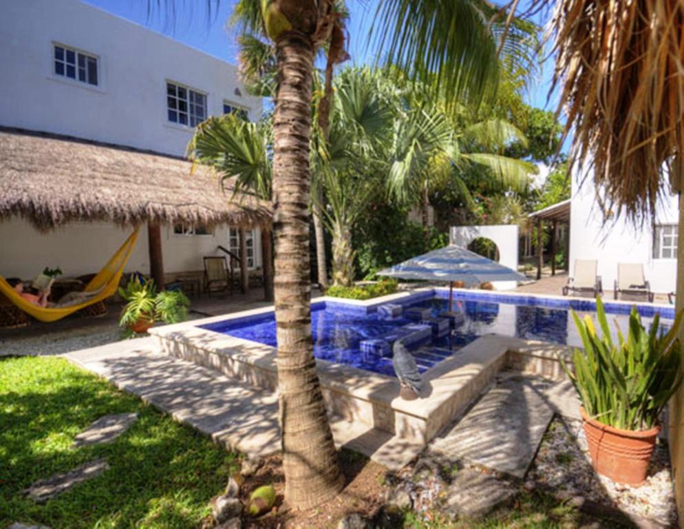Zahrada ubytování Villa Escondida Guest House Cozumel Downtown