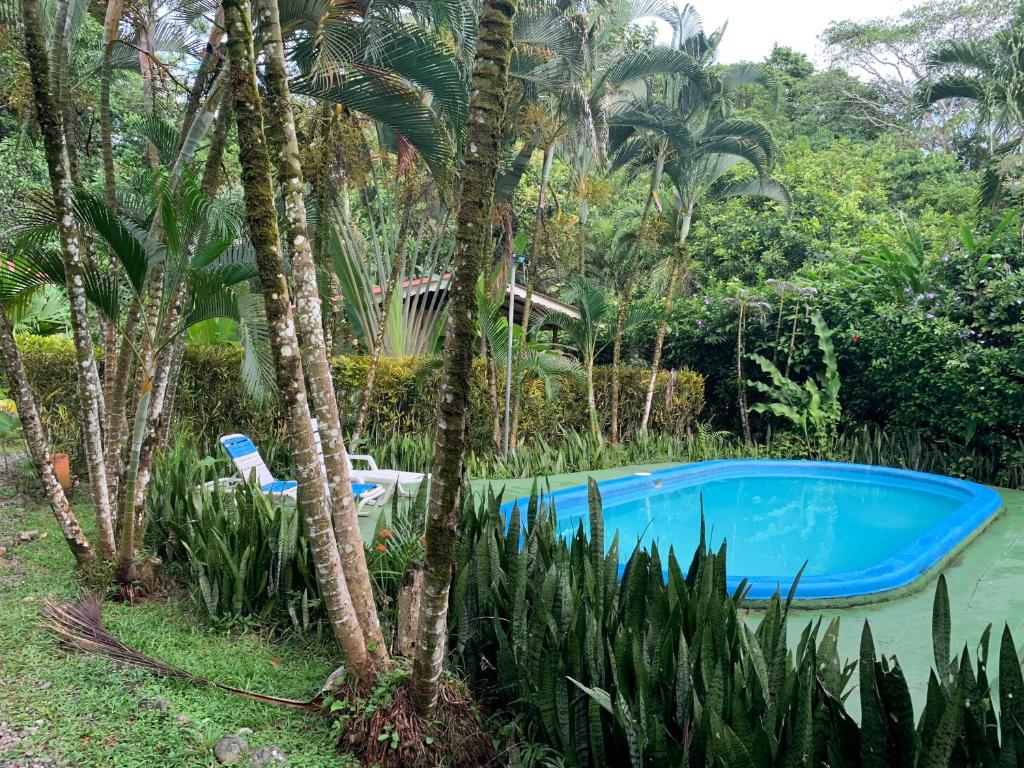 Bazén v ubytování Luna Caribeña Village nebo v jeho okolí
