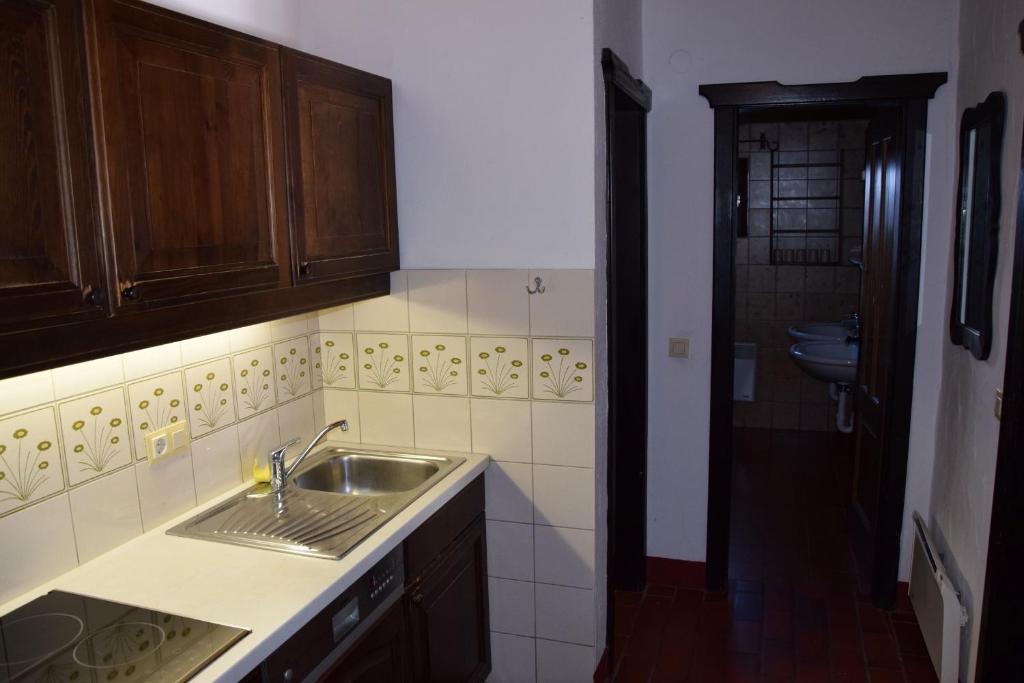 Kuchyňa alebo kuchynka v ubytovaní Appartement Sonnleitn