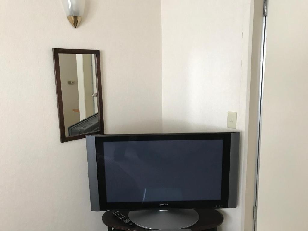 TV a/nebo společenská místnost v ubytování Petit Hotel Kurumi to Milk