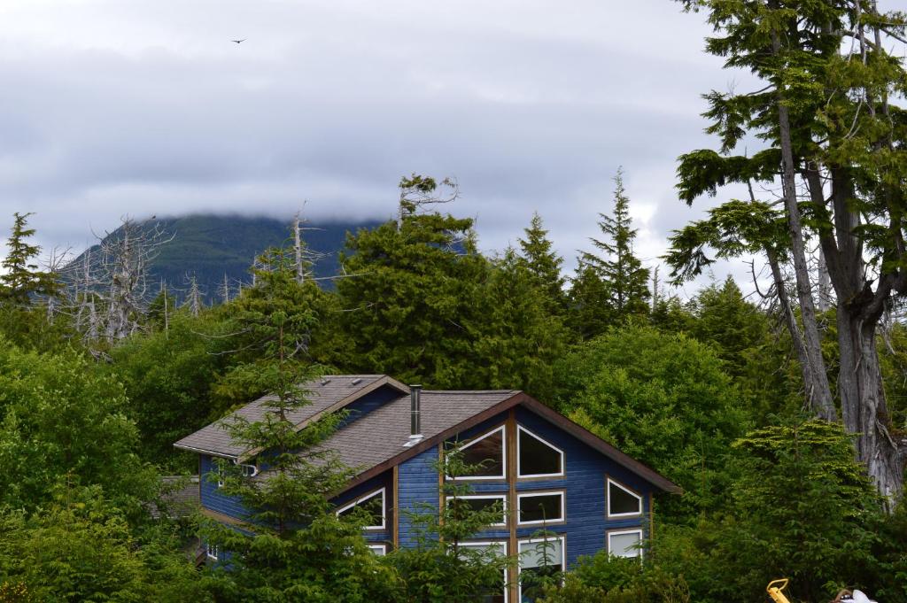 a blue house in the middle of trees at Easy on the Edge in Ucluelet