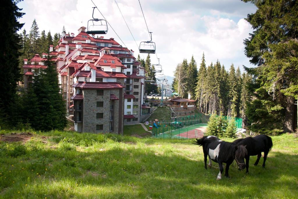 deux chevaux debout dans l'herbe près d'une remontée mécanique dans l'établissement Complex Kamelia, à Pamporovo