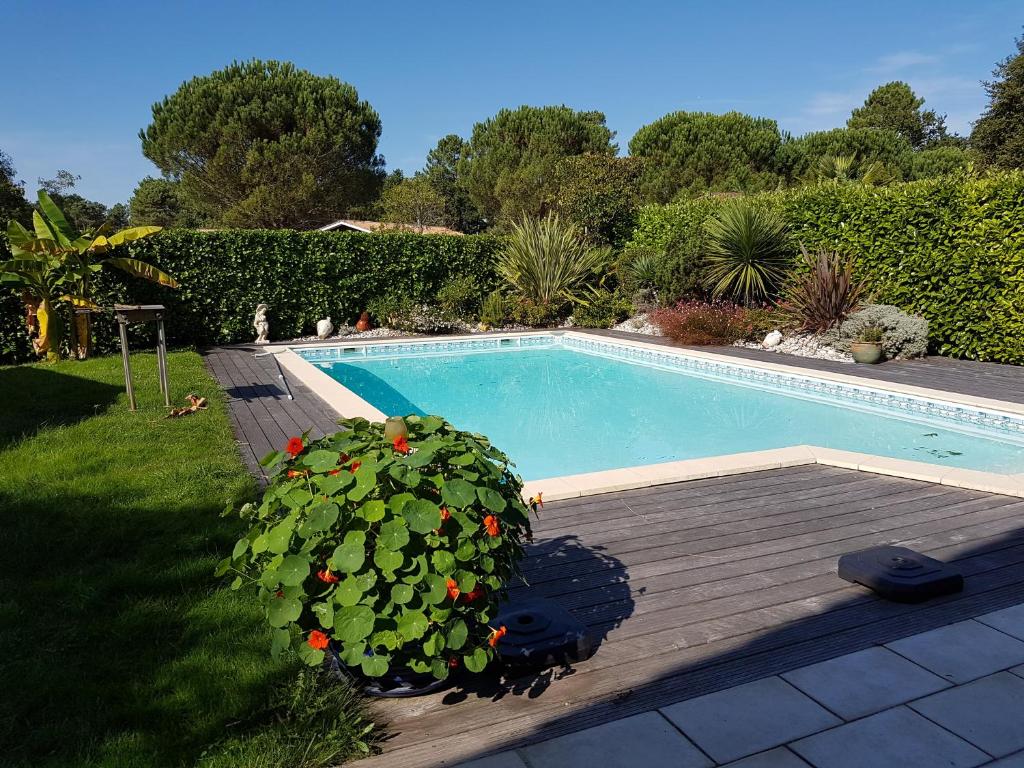 una piscina con terraza de madera y una planta al lado en Chambre Indépendante "Terre Rouge", en Martignas-sur-Jalle