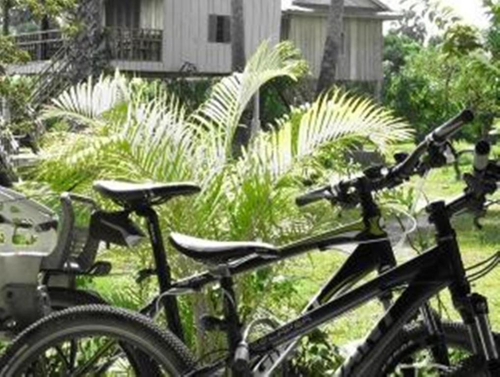 Jízda na kole v ubytování Champa Lodge nebo okolí