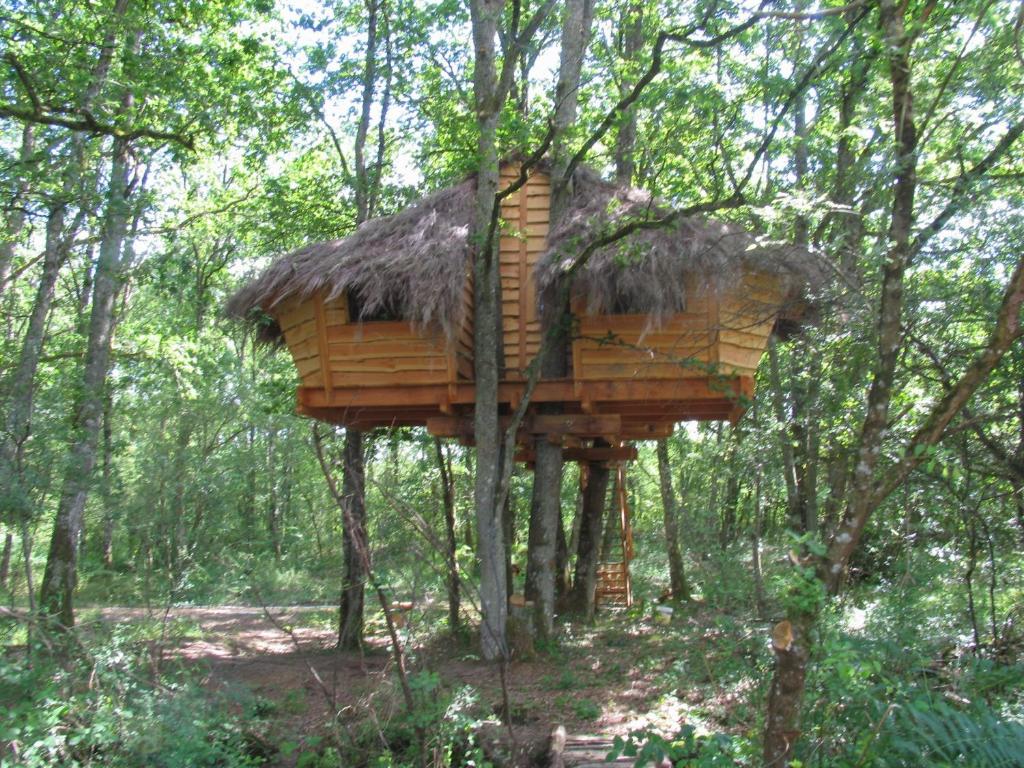 une cabane dans les arbres au milieu de la forêt dans l'établissement Une Nuit aux Lierres..., à Vouzon