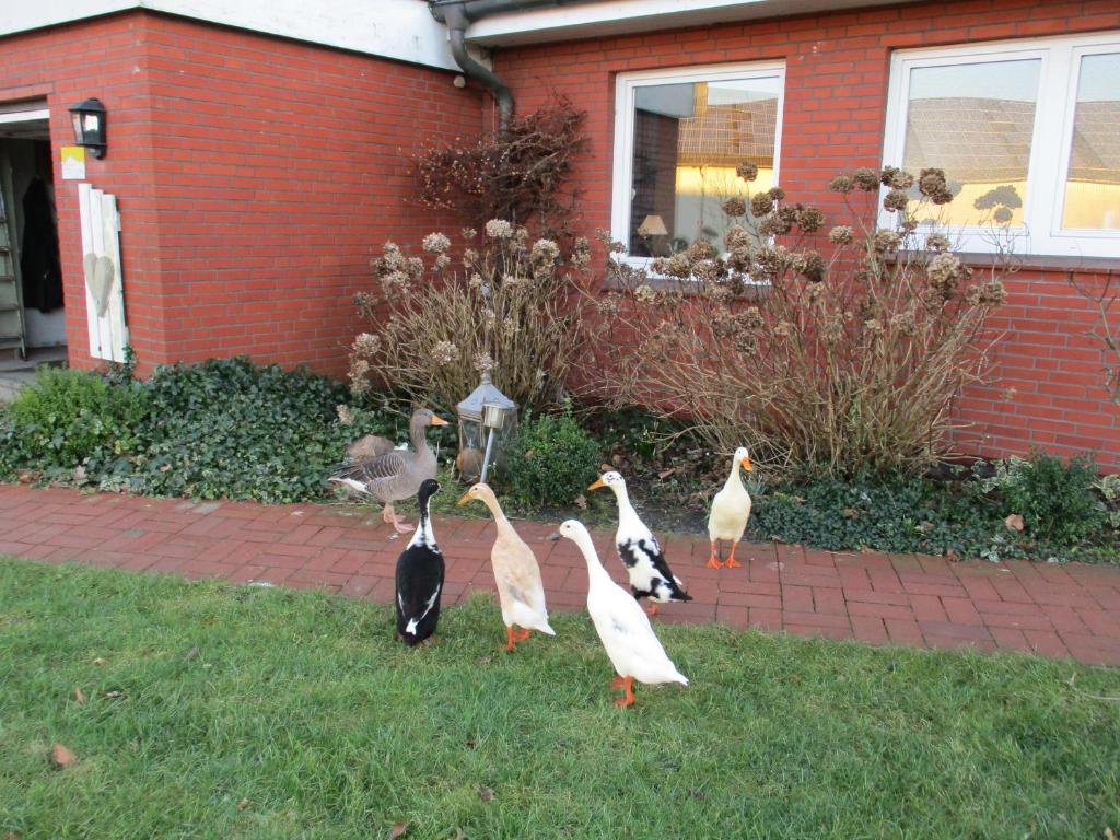 Urlaub zwischen Nord- und Ostsee - Apartamento Con Balcón