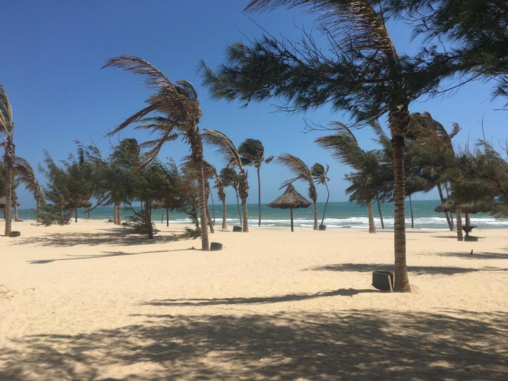  VG Sun Cumbuco Flat