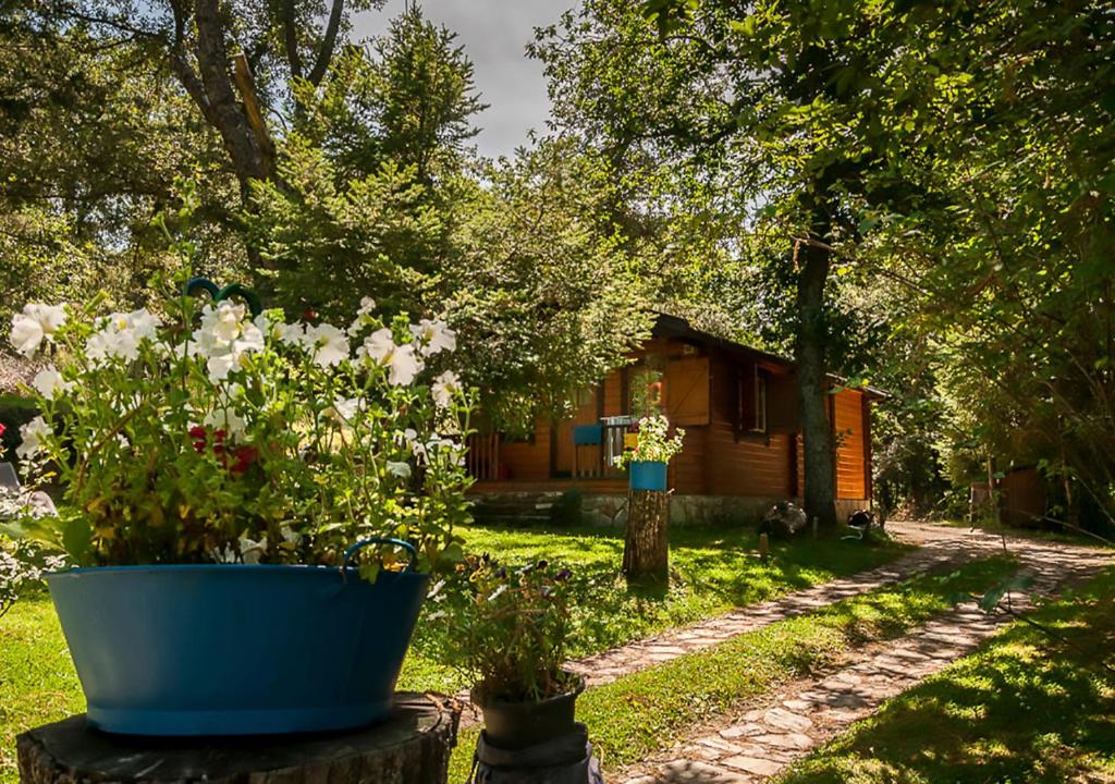 Zahrada ubytování Cabañas de Madera Sanabria