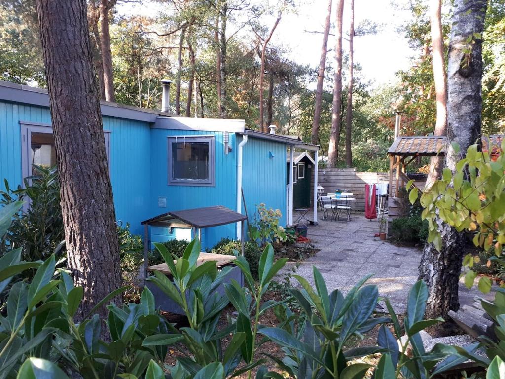 un bâtiment bleu au milieu d'une forêt dans l'établissement Boshuis Turquoise / smaakvol genieten op de Veluwe, à Hoenderloo