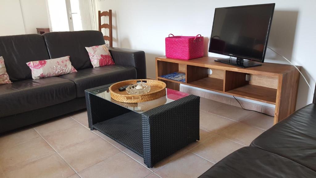 a living room with a couch and a tv at 926 Chemin de Saint-Antoine in Violès