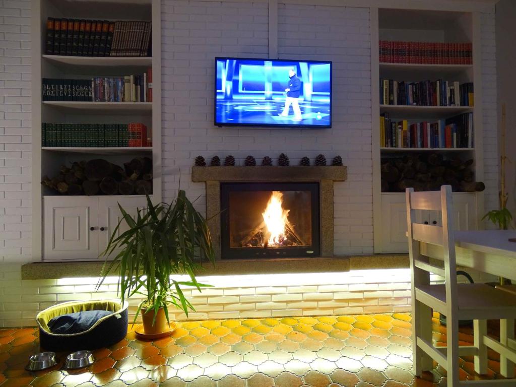 Knihovna v apartmánu