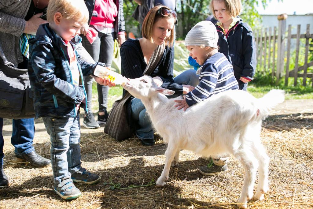 Děti v ubytování Am Ziegenhof