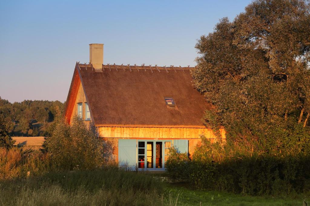ein kleines Haus mit einem braunen Dach auf einem Feld in der Unterkunft Siedlisko Pod Strzechą in Wólka