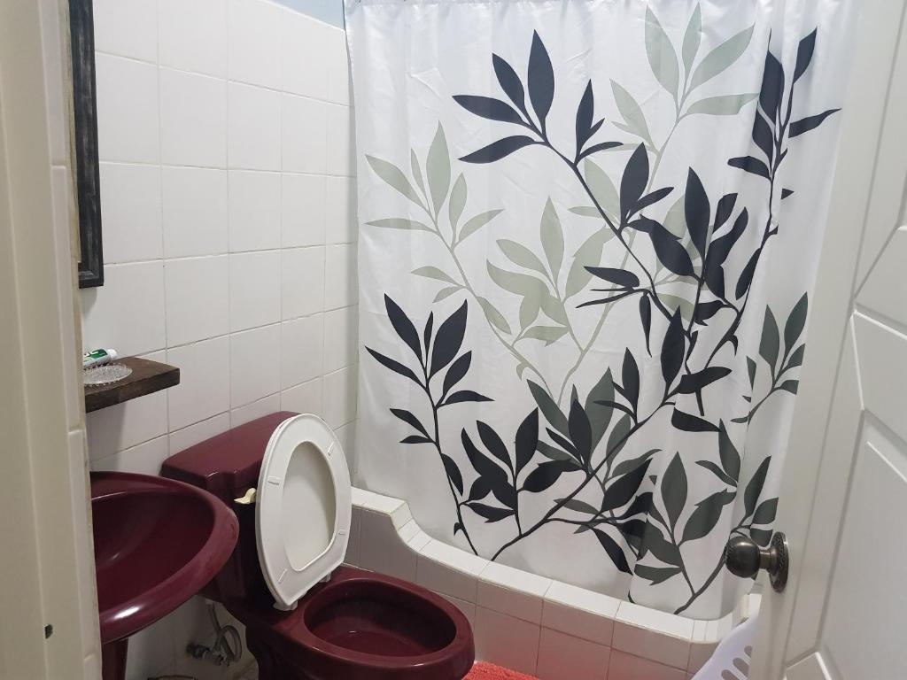 San Vicente的住宿－lee's home2，浴室配有带卫生间的淋浴帘