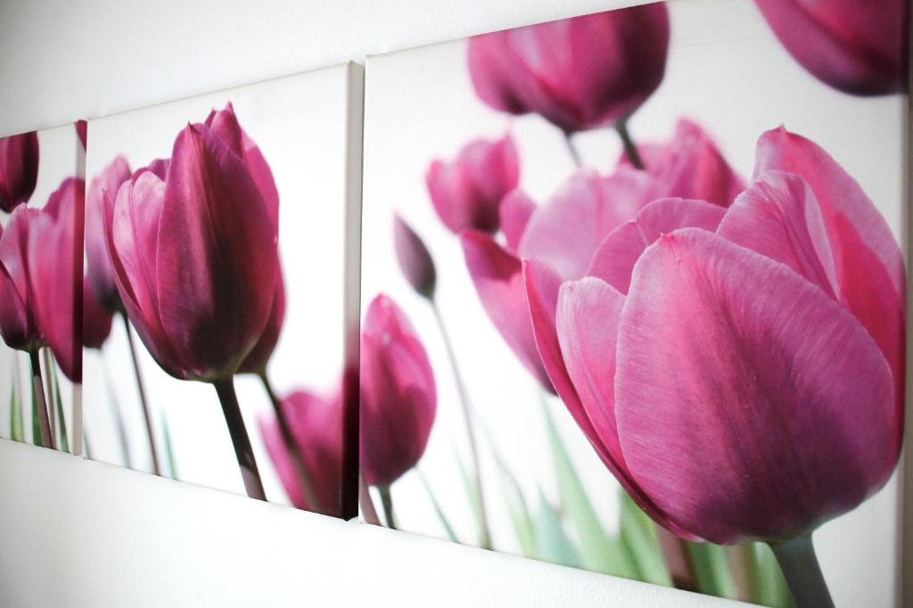 Fotografie z fotogalerie ubytování Hotel Feyrer v destinaci Senden