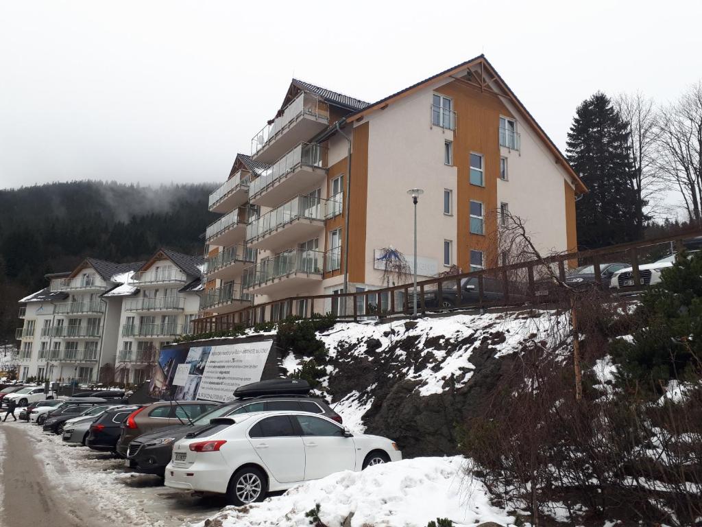 Apartament 21 Czarna Góra v zime