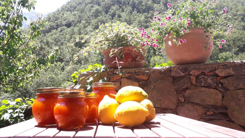 Fotografia z galérie ubytovania B&B Rossociliegia v destinácii Castelbianco