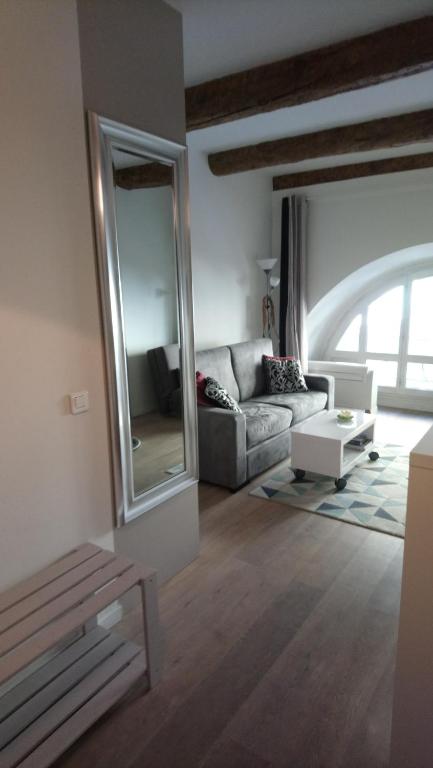 uma sala de estar com um sofá e um espelho em Sam Le Lezard Sarl em Nice