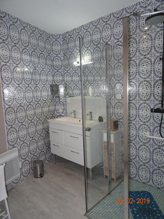 a bathroom with a shower and a sink at La ferme aux chats in Formigny