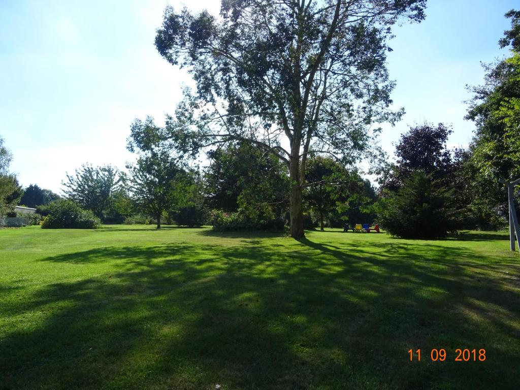 a tree in the middle of a grass field at La ferme aux chats in Formigny