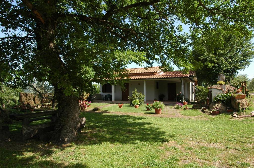 ein Haus mit einem Baum vor einem Hof in der Unterkunft Agriturismo San Vincenzo in Sovana