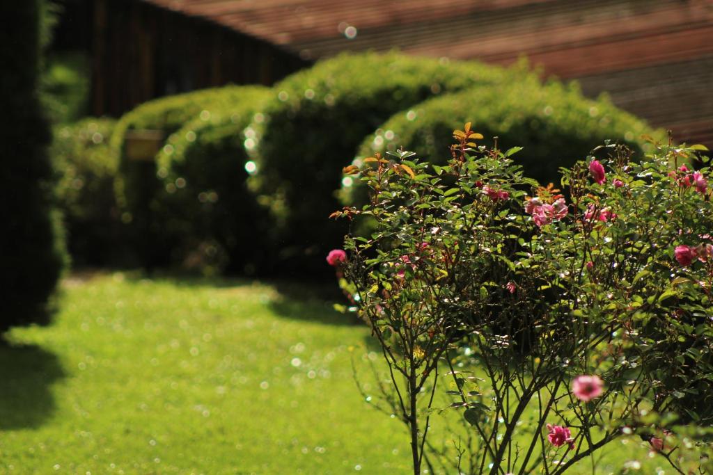  CHALÉS - Sitio Piemonte - Família Cristã