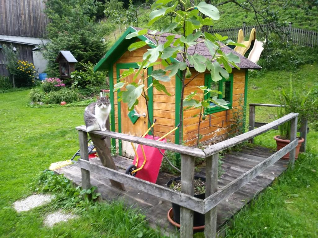 Zahrada ubytování Ferienhof Schelchen