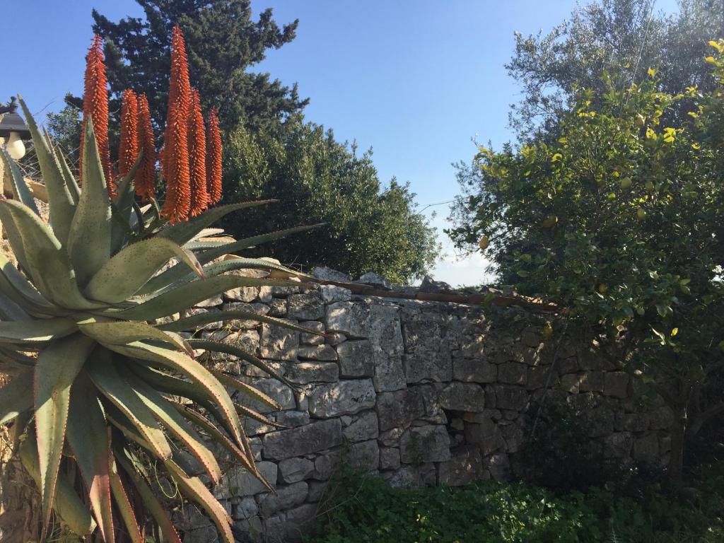 Fotografie z fotogalerie ubytování Casa delle Fate v destinaci Scicli