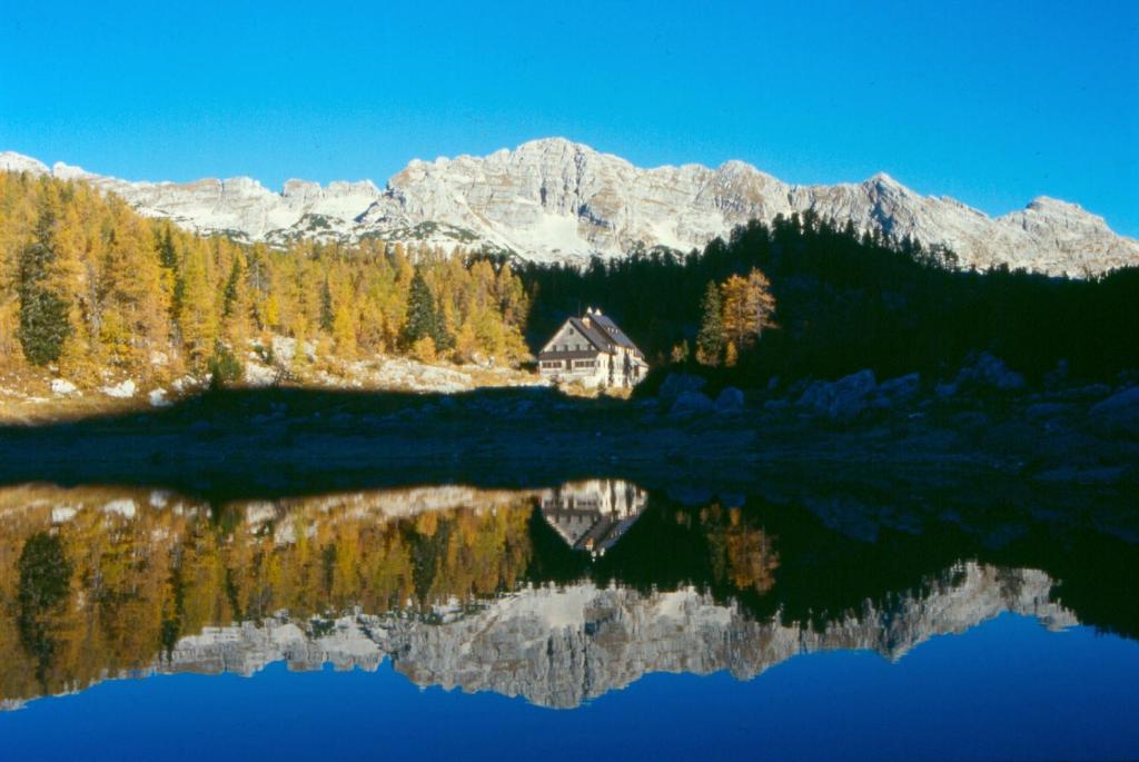 Příroda nedaleko apartmánu