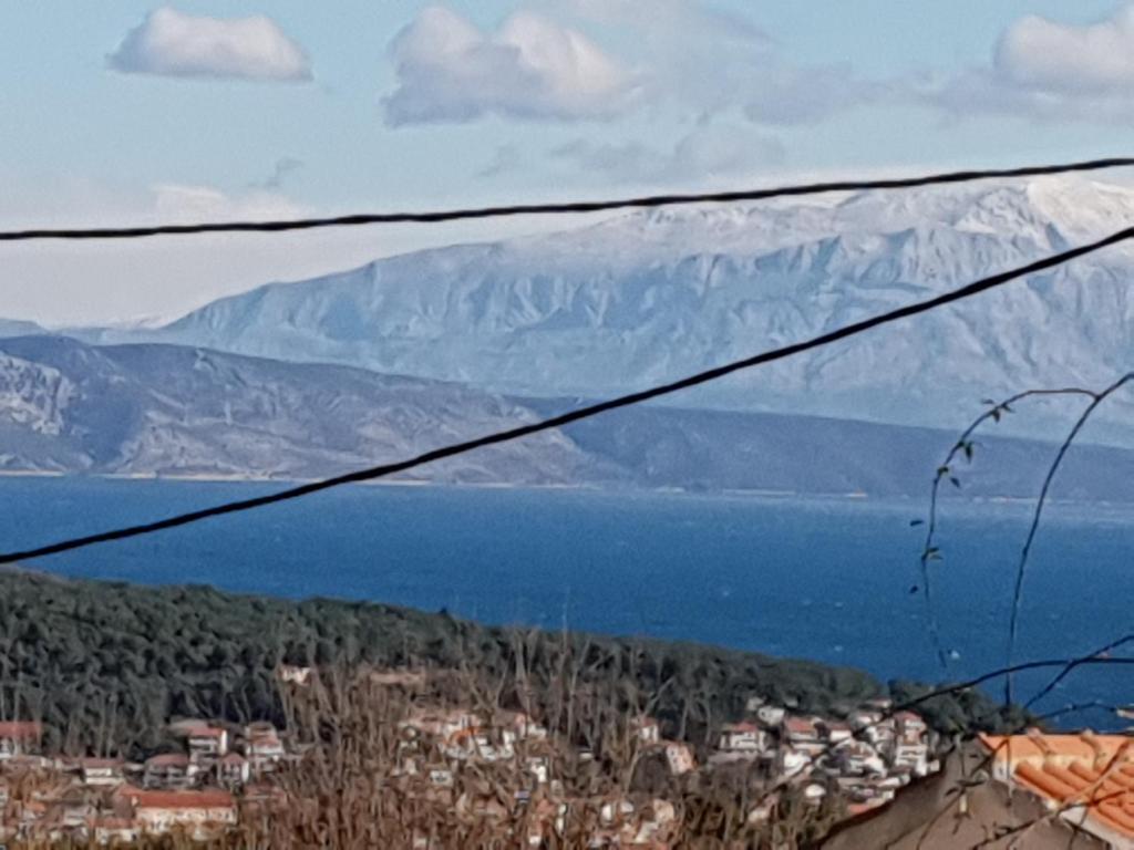 Příroda nedaleko apartmánu