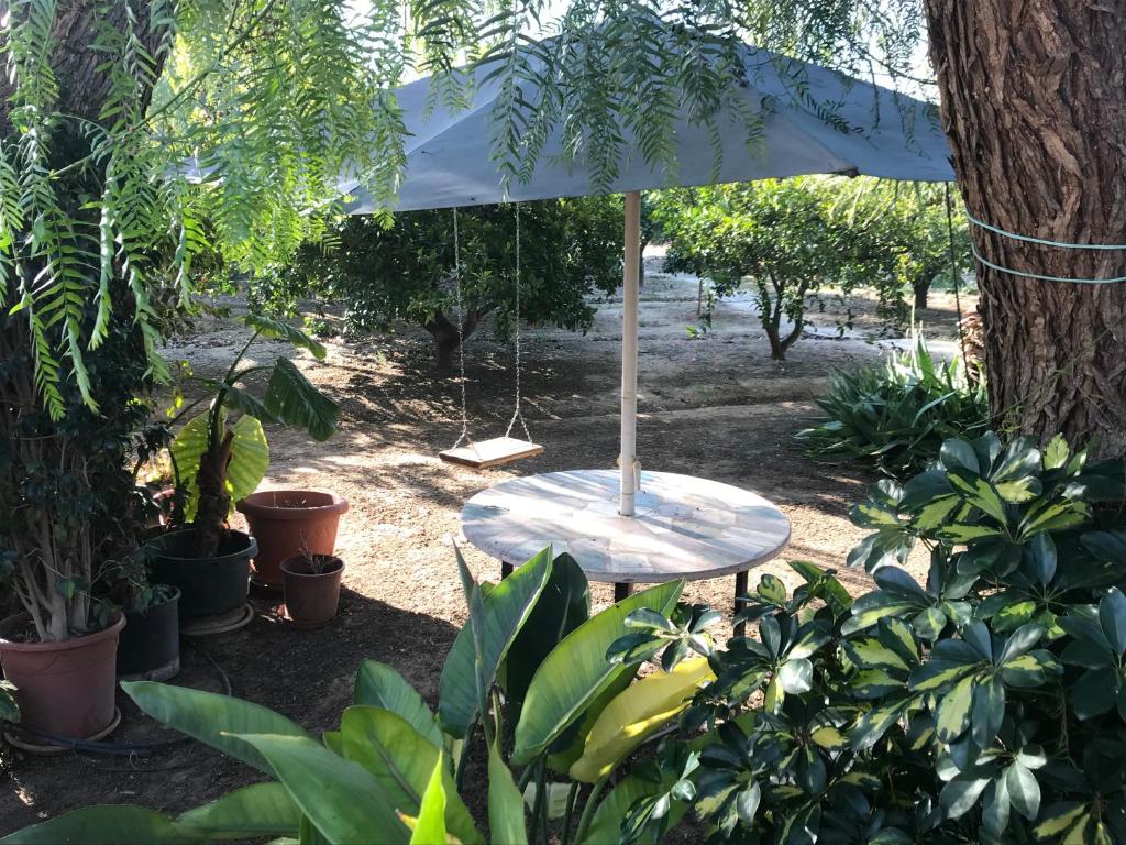A garden outside "La Chacra" Casa Típica Valenciana