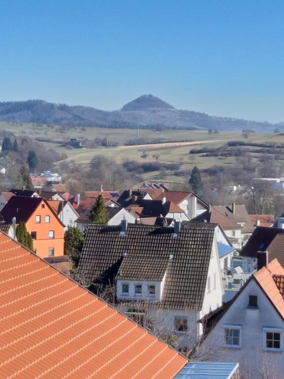 a town with roofs and hills in the background at Monteur Wohnung in Rechberghausen