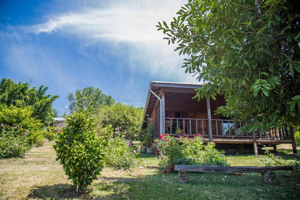 Zahrada ubytování Apart hotel Puchaley Lafquen