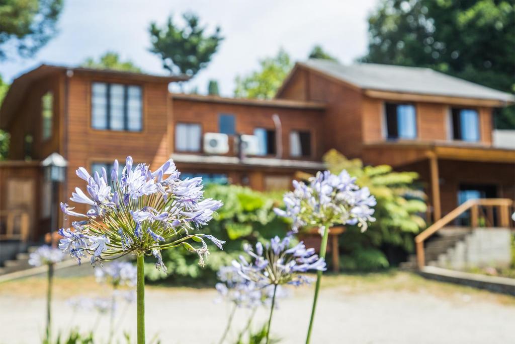 Zahrada ubytování Apart hotel Puchaley Lafquen