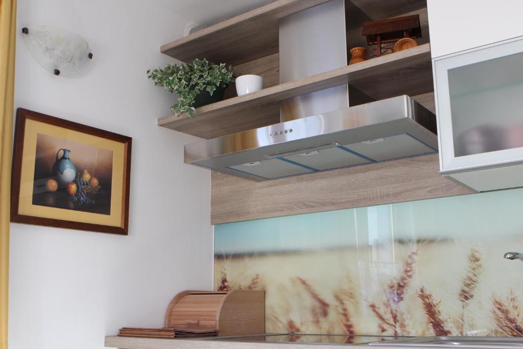 Kuchyň nebo kuchyňský kout v ubytování Apartma Lipa