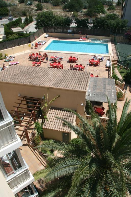 Bazén v ubytování Apartamentos Palm Court nebo v jeho okolí