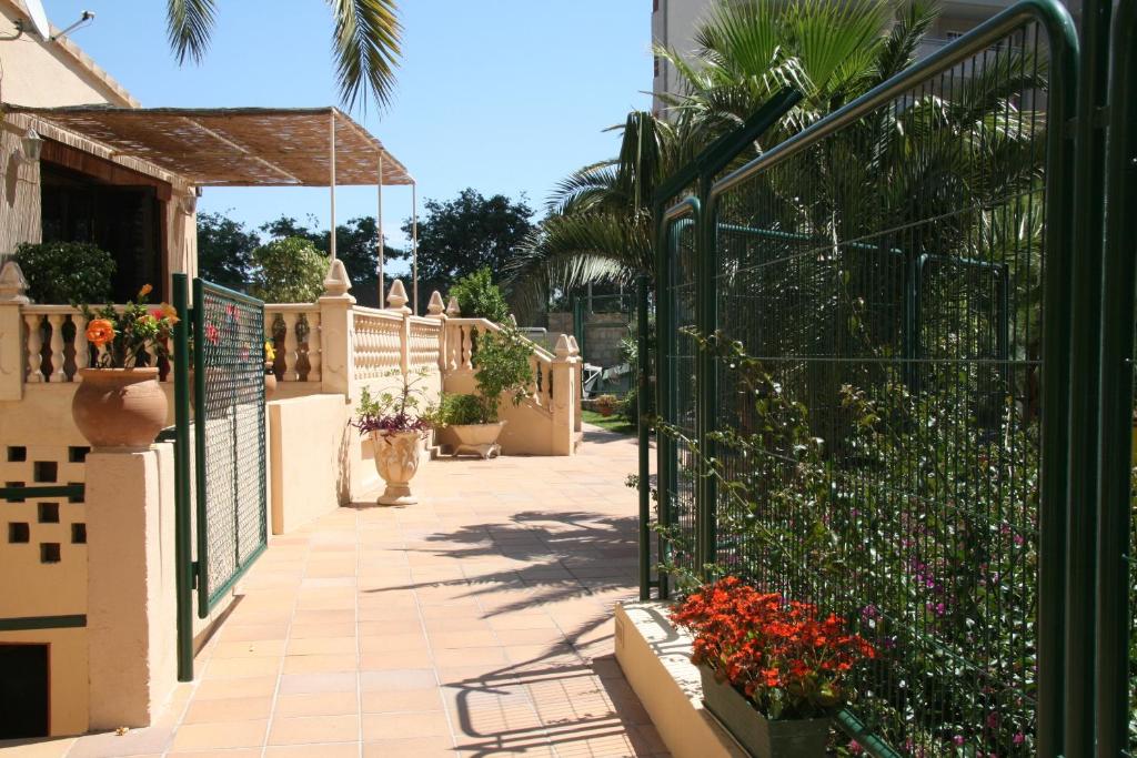 Zahrada ubytování Apartamentos Palm Court